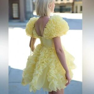 Selkie Twinkie Paris dress